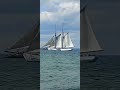 Black Dog Tall Ships Schooner (Alabama) #shorts