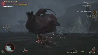 王ツナ　片手　3’56　97位