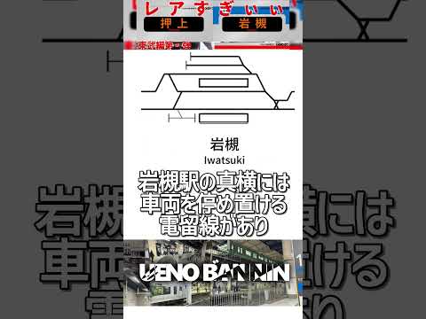 レザースリーブツリー「スカイライン」 植物