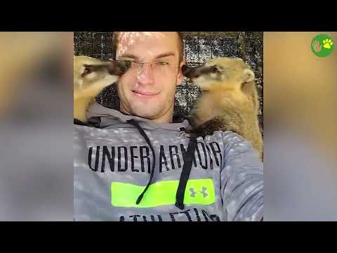 20 Times When Animals Reunited With Owners After Years Make You Cry in a Special Way 2025 #38