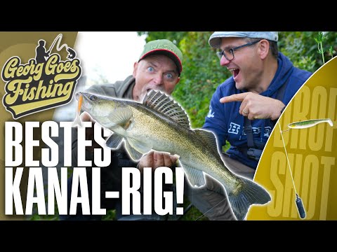 👉 Dropshot for zander: Dietmar Isaiasch shows off THE BEST RIG on the canal! 🎣 | Contest