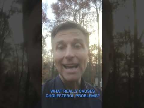 What Really Causes Cholesterol Problems?