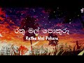 Rathumal Pokuru රතු මල් පොකුරූ Bashi Song Lyrics