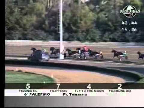 Premio Trinacria 2006 -Fly To The Moon