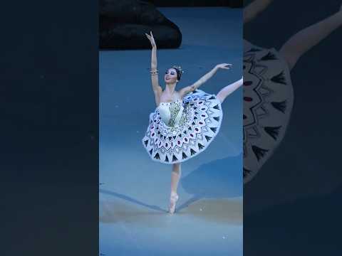 Elizaveta Kokoreva as Aspiccia🤍 #ballet #pharaohsdaughter #aspiccia #bolshoi #variation #shorts