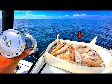 Solo Offshore Fishing w/ SQUID in 300' Deep for Dinner!
