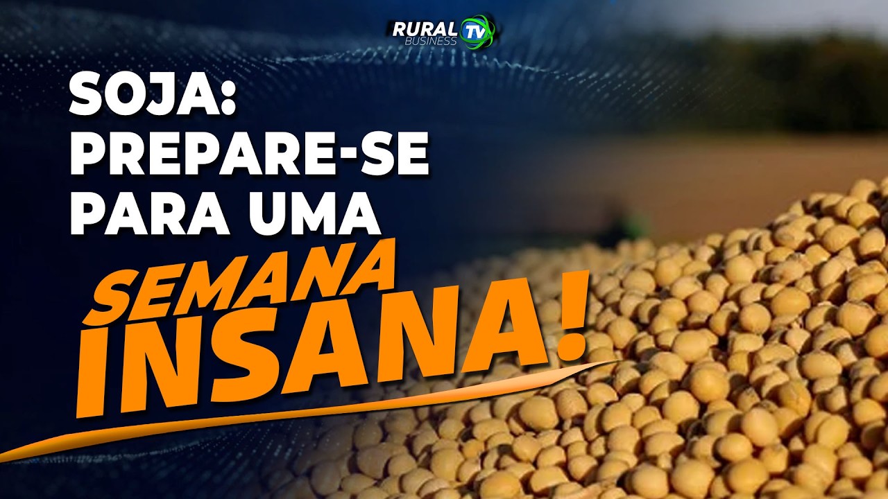 SOJA: PREPARE-SE PARA UMA SEMANA INSANA!