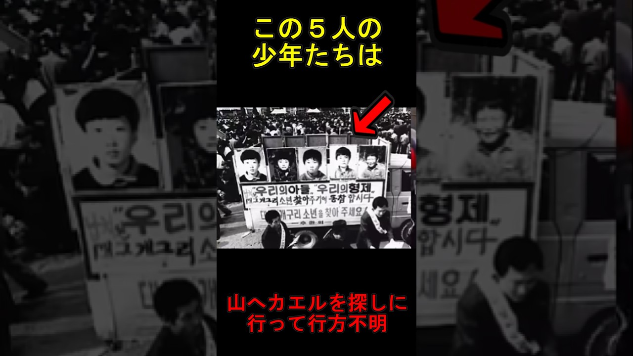 カエル少年失踪事件