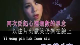 G.E.M - 鄧紫棋 - 喜歡你 (Hei Fun Nei) Karaoke