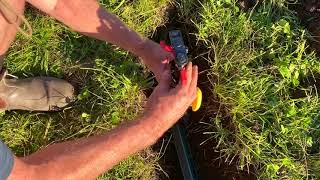 HOW TO INSTALL A QUICK COUPLING VALVE FOR IRRIGATION
