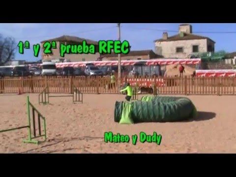 Mateo y Dudy (1ª y 2ª prueba RFEC, Agility Pataplán)