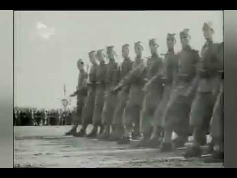 Paradni marš-parade march (kingdom of yugoslavia)