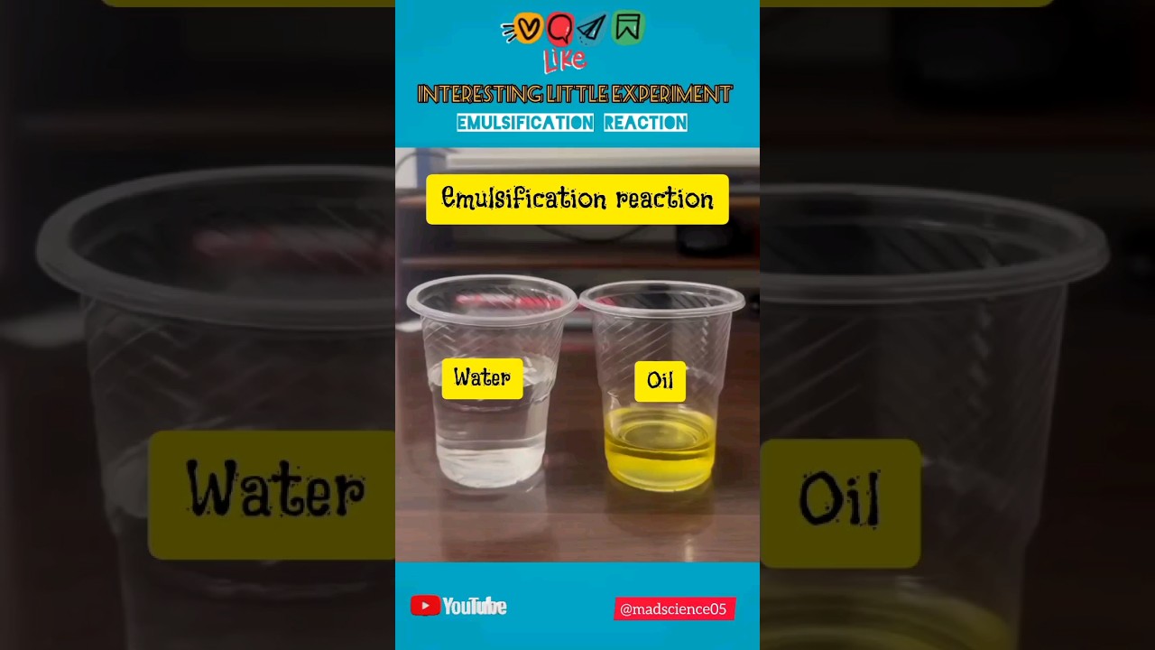 Emulsification Reaction | Water and Oil Experiment | Emulsifier Experiment #experiment #science