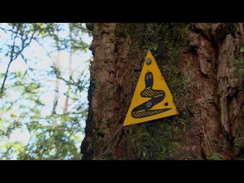 Walk the Bibbulmun Track