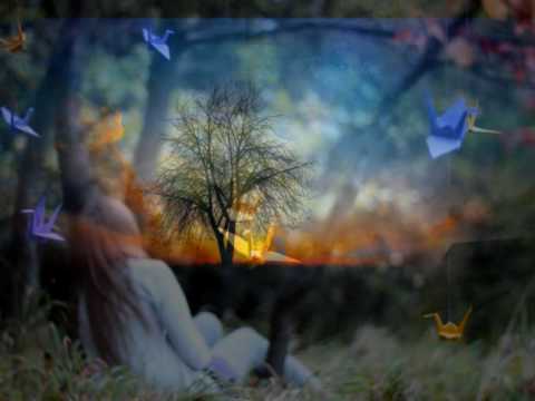 Schiller  feat. Maya Saban    I Miss You