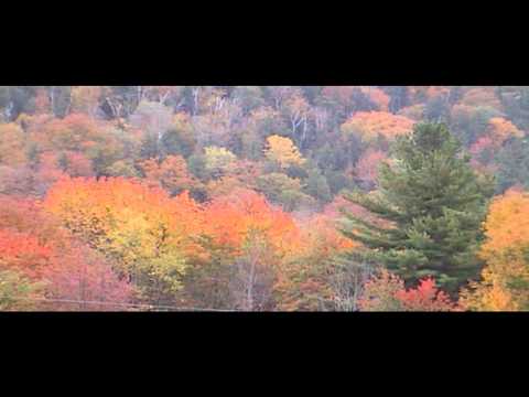 Earl and Bell's September 27, 2010 Leaf Peeper Report from Lincoln Gap in Warren, Vermont
