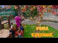Barney Friends Tree Mendous Trees Season 4 Episode 14 Full Episode SUBSCRIBE