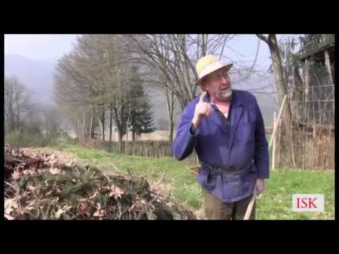 Pismo iz Benečije 13-2014