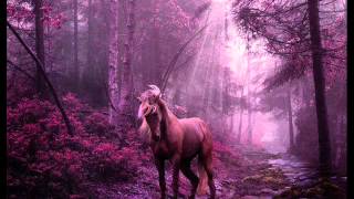 Nina Pušlar-Slečeno srce (DJ Time rmx)