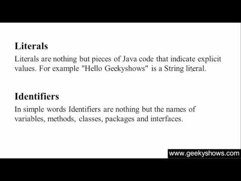 23 Literals and Identifiers in Java Programming Hindi