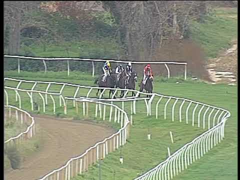 Galoppo 29/11/2017 - 2ª corsa