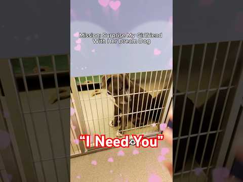 I Suprised My Girlfriend With Her Dream Dog - Part 2 #dog #bikerboy #couple #couplegoals #suprise