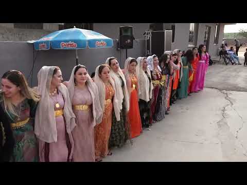 Barış Ergün Nişanı Part 3 ( Grup Welat Silopi ) 2024