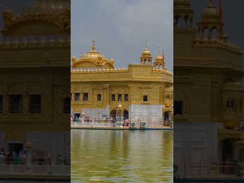 Wmk ❤️🙏🏻 #rap #vlog #dog #newsong #minivlog #funny #music #punjabi #vlogs #punjabisong