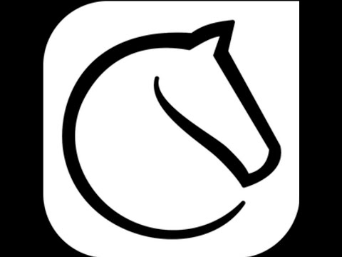 Lichess.org  Liga 3B Team Battle