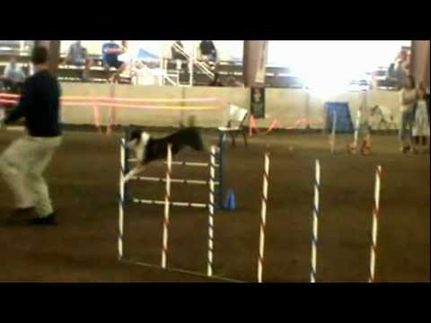 Standard 2012-06-17.MPG