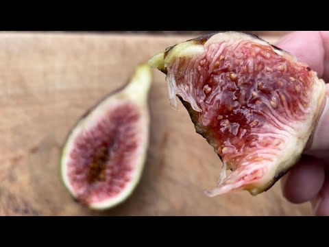 Longue dâ€™Aout fig tasting 10/20/22 - such a great fig!