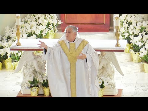 Father Mark Beard's Homily - "Take a Hit" - 6th Sunday of Easter, Year A 2023