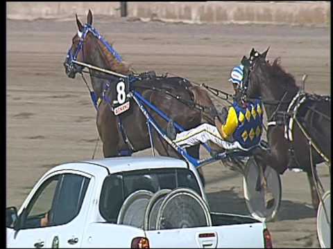 Trotto 16/09/2016 - 2ª corsa