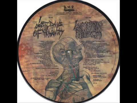 Last Days of Humanity - Whipcream with Sperm