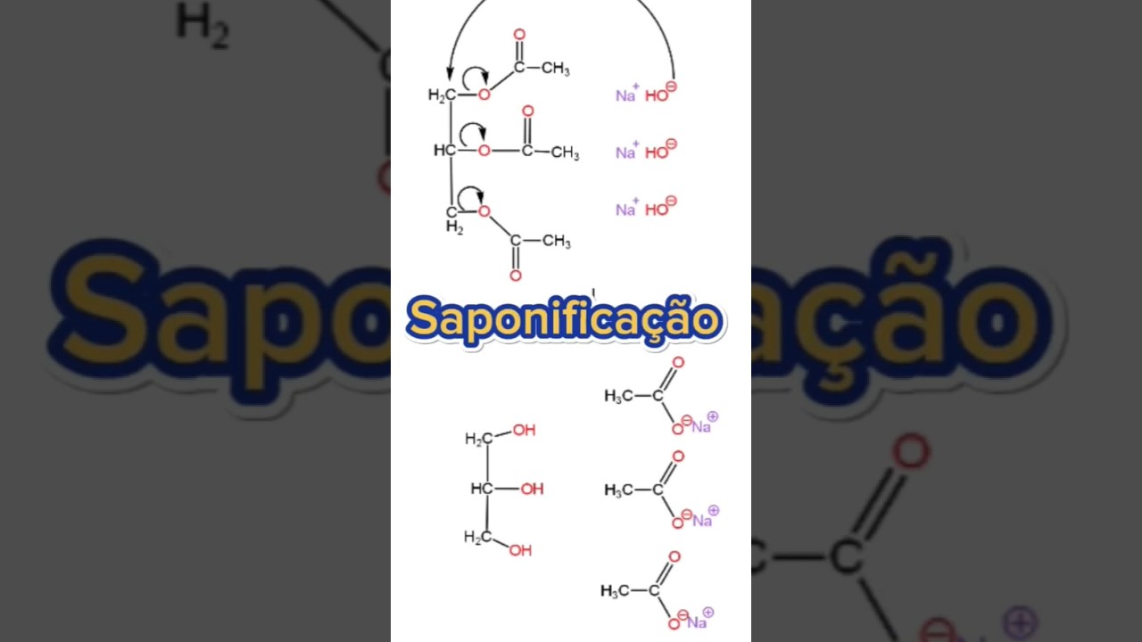 Você sabe como é formado o SABÃO? #cienciaquimica #saponificação #esterificação