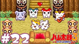 #22 初老男性、結婚式に出席する『とっとこハム太郎３ ラブラブ大冒険でちゅ』攻略実況プレイ