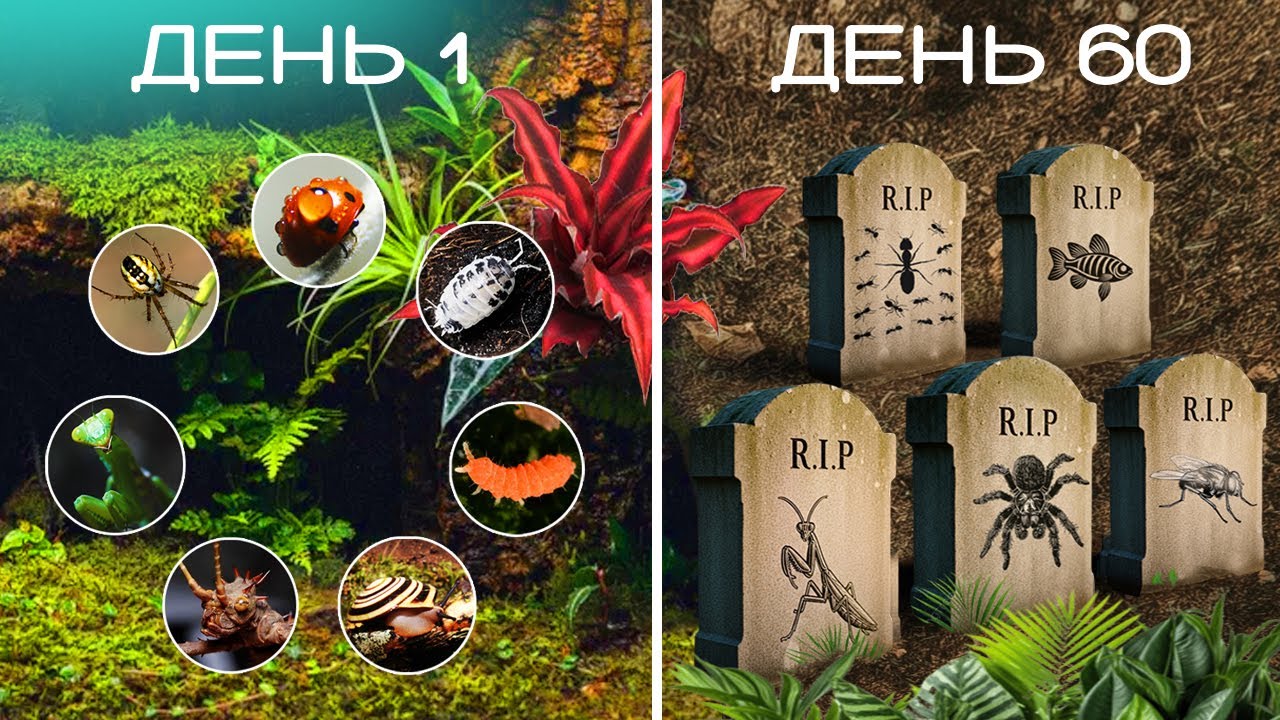 1000 Жителей в Смертельном Террариуме | 60 Дней Выживания – Кому Не Повезло?