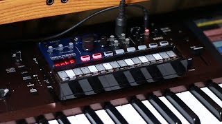 KORG volca nubass (MIDI Key Rec)