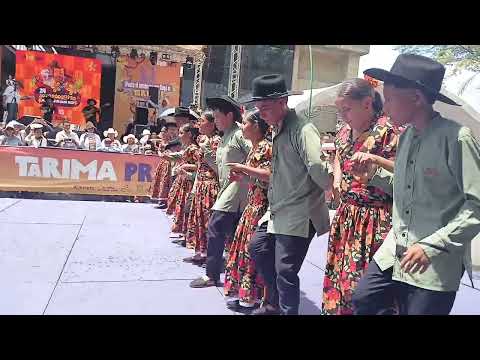 Grupo de Vista Hermosa (Meta) en el 24° Joropódromo del Torneo del Joropo 2025 en Villavicencio