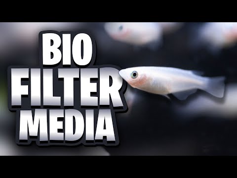 Biological Filter Media Simplified For Beginners!