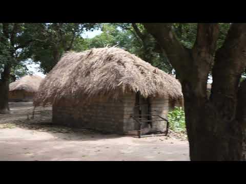 Village Katangais, Panorama, Huttes Décorées, Prés de Mwadingusha, Congo, 2022, by HabariSalam