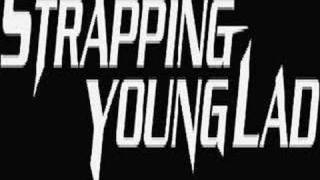 Strapping Young Lad - Happy Camper