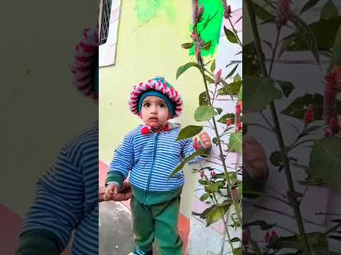 #song #flower #cutebaby #viralvideo