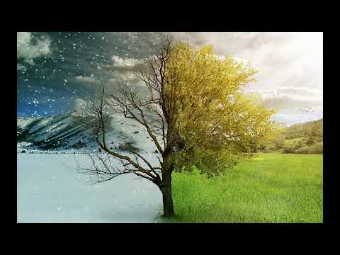 Video thumbnail for In den Garten tragen