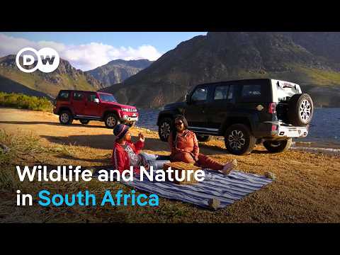 Discover South Africa on an Epic Road Trip (2/2)