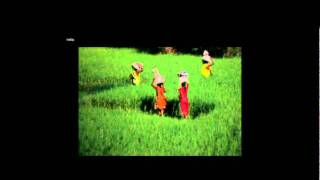 TEDxTraverse City Paola Gianturco Women Who Light the Dark