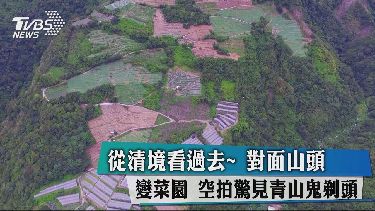 從清境看過去對面山頭變菜園　空拍驚見青山鬼剃頭