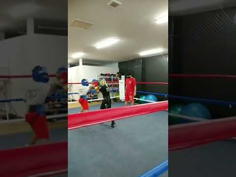 【スパーリング】緊張感ある中学１年同士の戦い　息子の成長を感じた親父#shorts