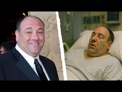 The last 24 hours of James Gandolfini