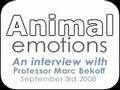 Animal Emotions An Interview With Professor Marc Bekoff